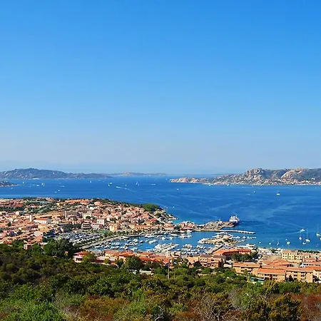 Pani Silvio
