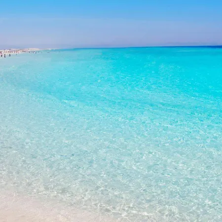 Pani Silvio Couette-café 3*