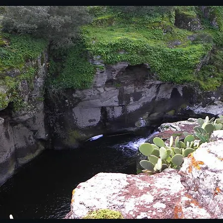 Couette-café Pani Silvio