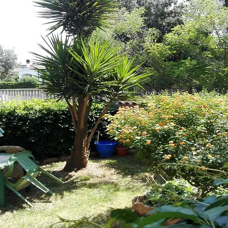 Bed & Breakfast Pani Silvio