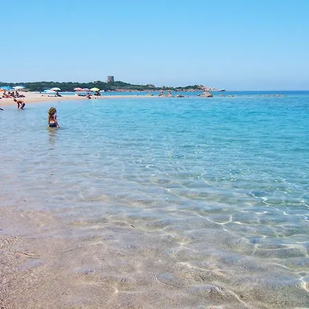 Pani Silvio 페르푸가스