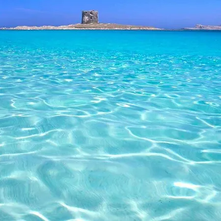 Pani Silvio 페르푸가스